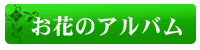 お花のアルバム